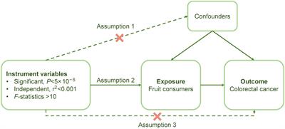 A causality between fruit consumption and colorectal cancer: a two-sample Mendelian randomization analysis